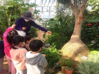 녹지과-성남시 식물원(중원구 은행동) 내 온실에서 열대 식물에 관한 설명을 듣고 있는 어린이들.jpg